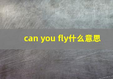 can you fly什么意思